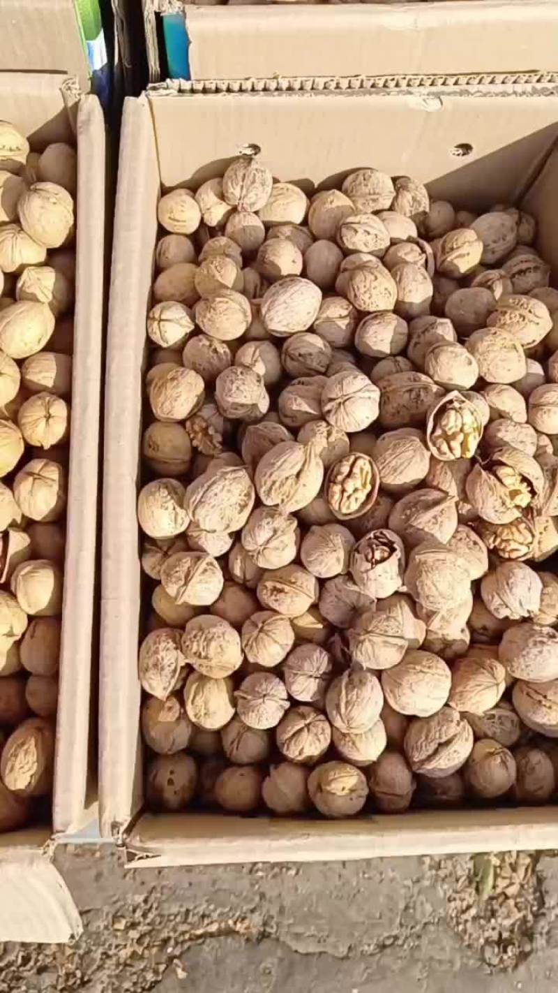 新疆特产阿克苏185纸皮核桃薄皮核桃2023新货优质核桃
