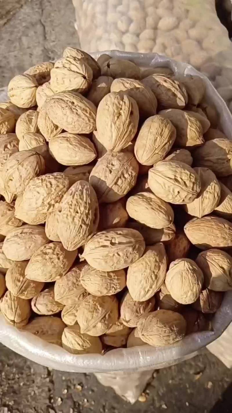 新疆特产阿克苏185纸皮核桃薄皮核桃2023新货优质核桃
