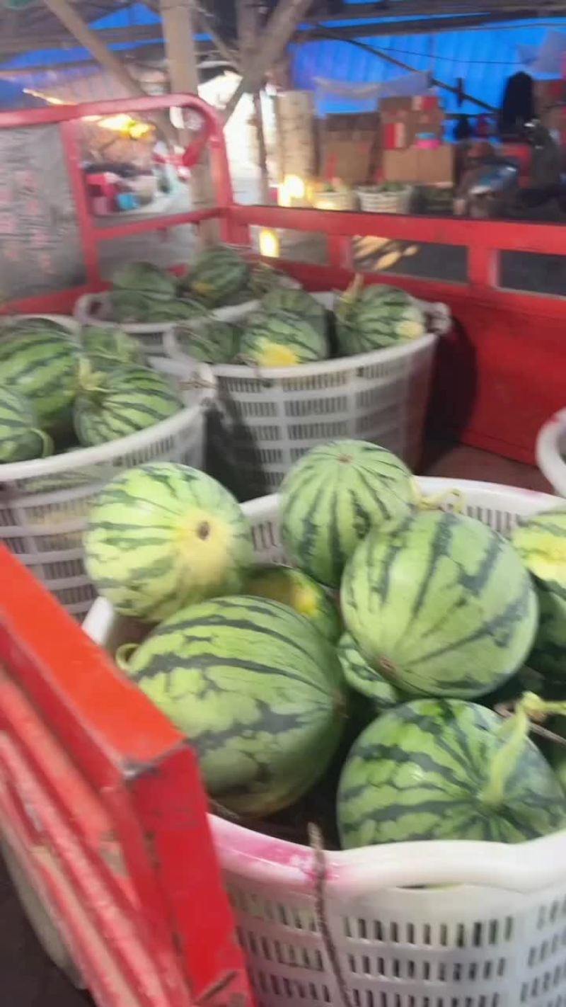 美都西瓜雷州本地人代发全国各地