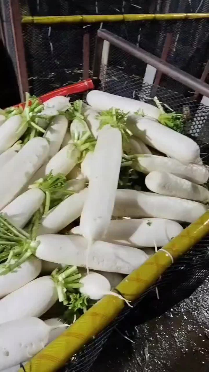 可打包，可散装