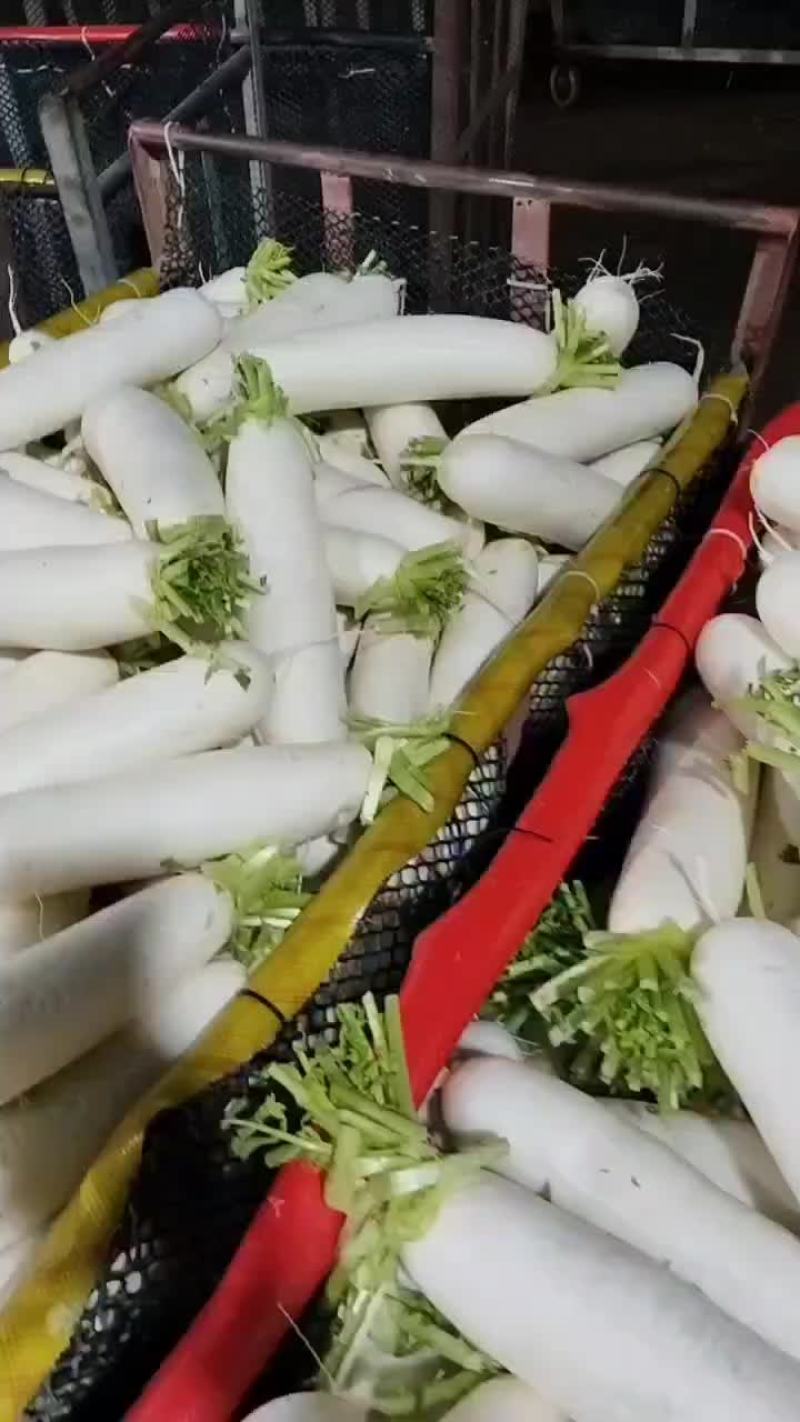 可打包，可散装