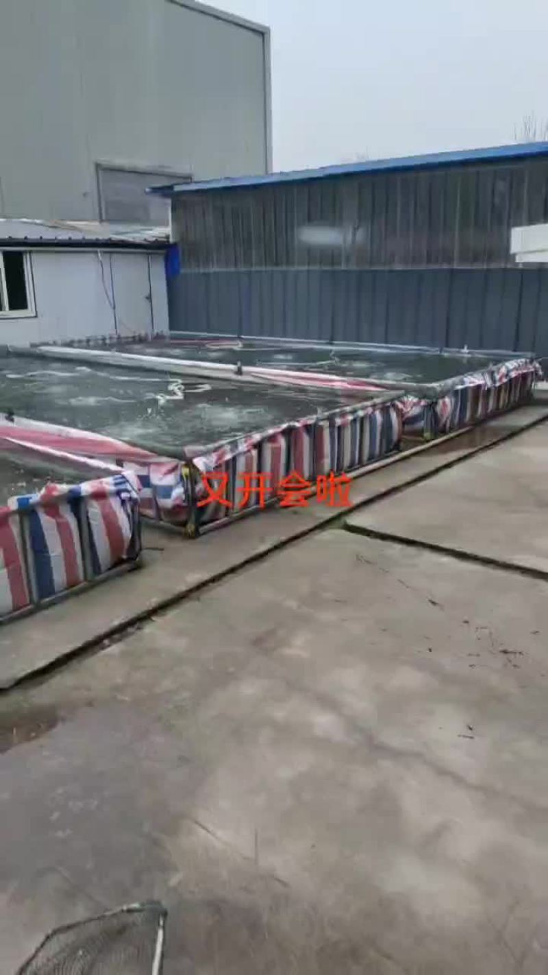 活力四射小虾米