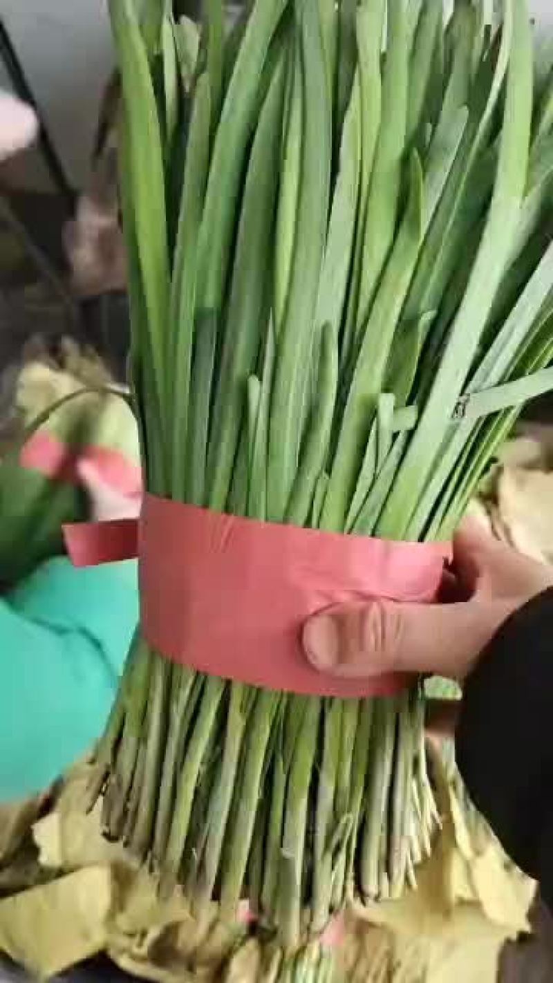 头刀二刀好赖都有需要的老板贸易