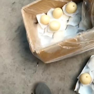 皇冠梨