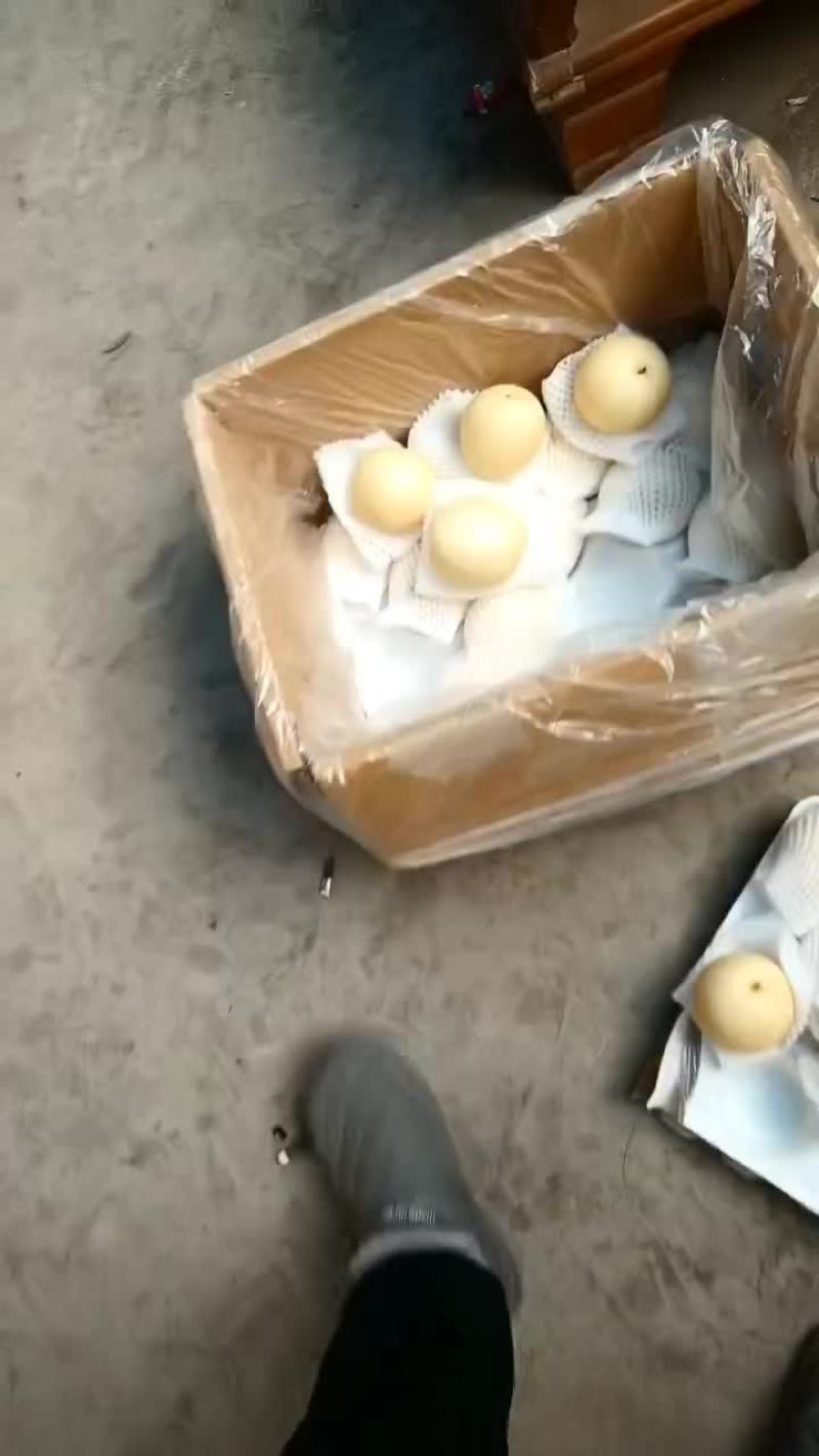 皇冠梨