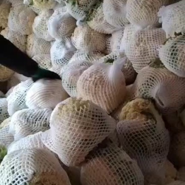 精品