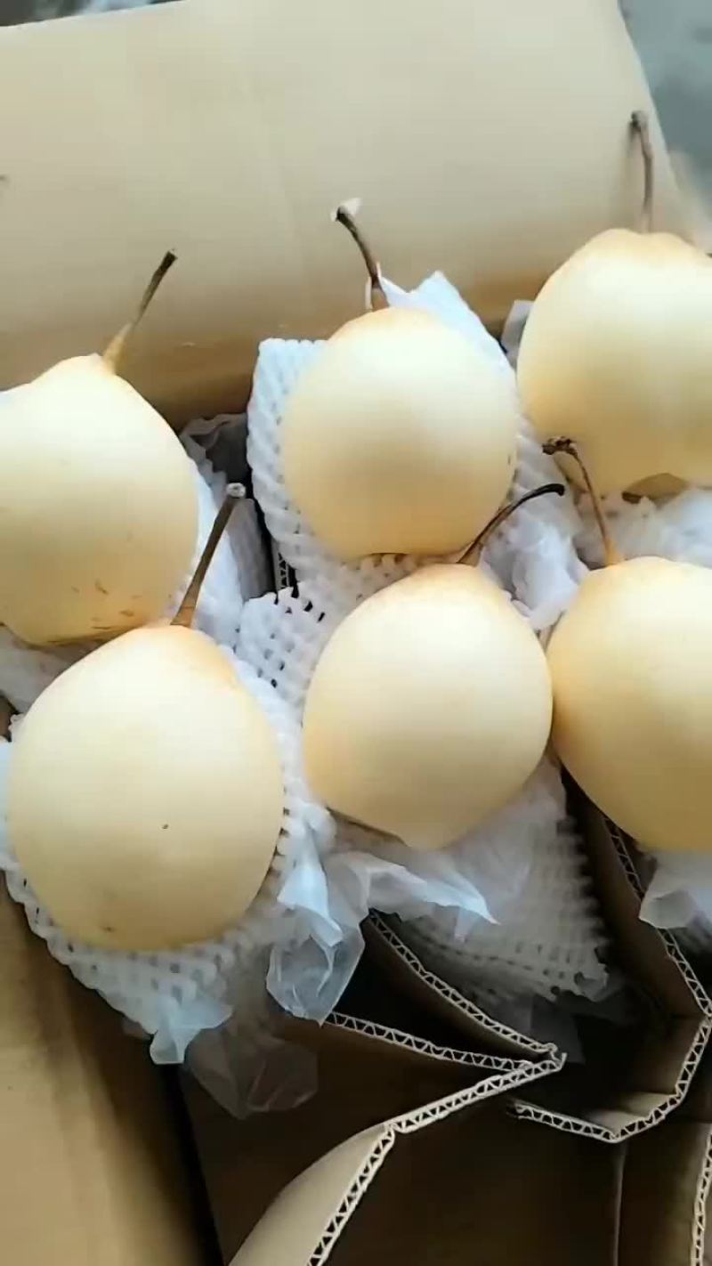 水晶鸭梨