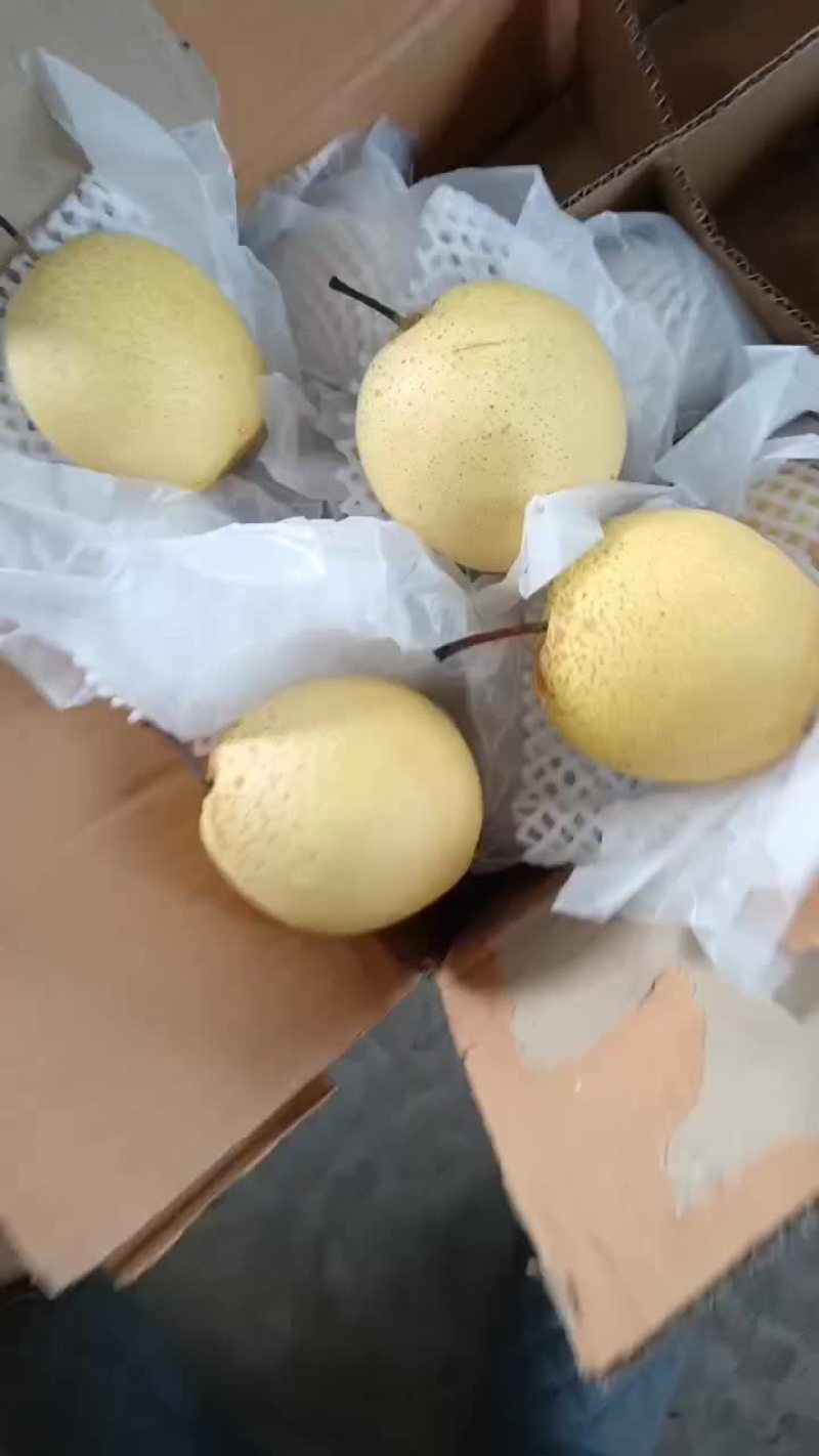 雪梨