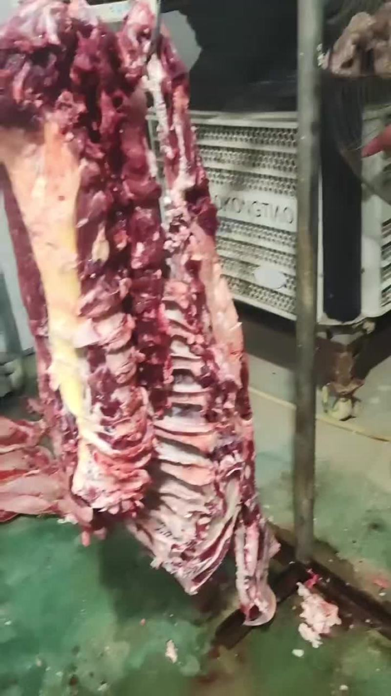 地滚鲜牛肉