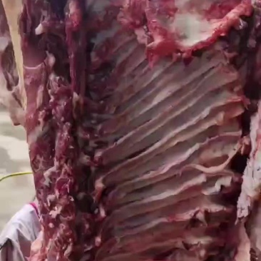 地滚鲜牛肉