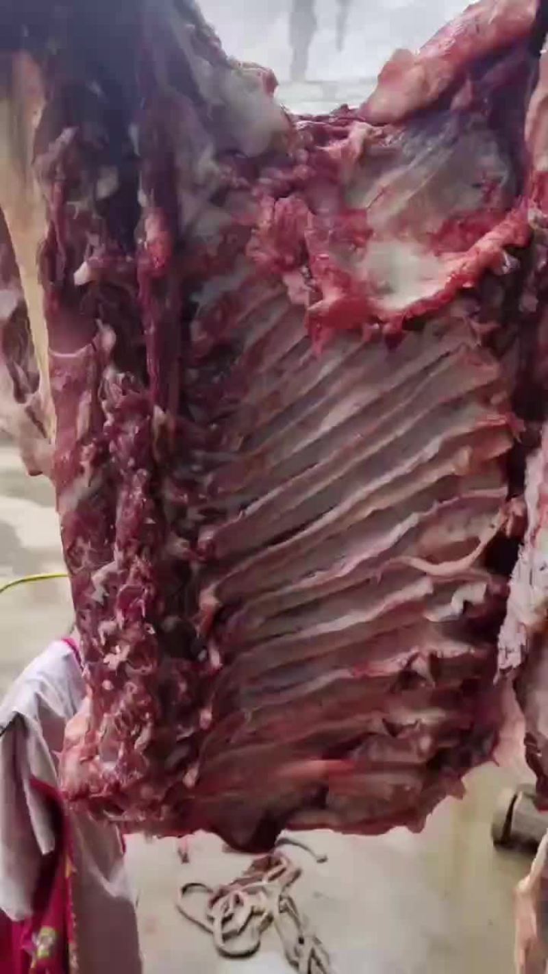 地滚鲜牛肉