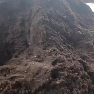 广东烘干餐厨粉