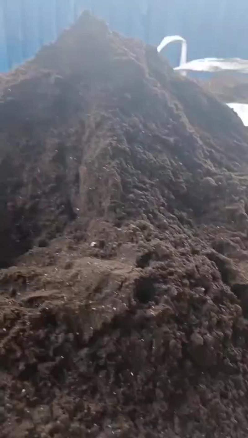 广东烘干餐厨粉