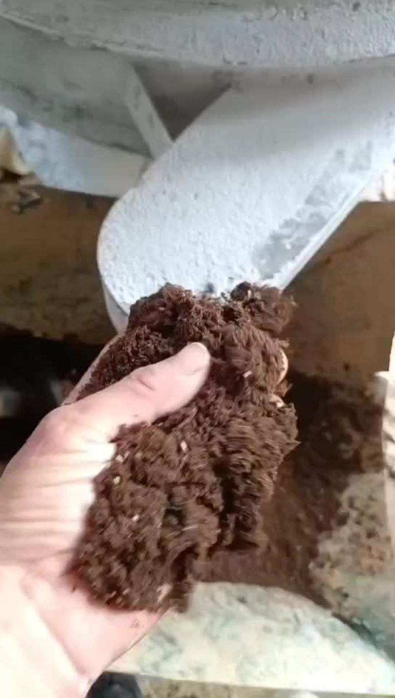 广东烘干餐厨粉