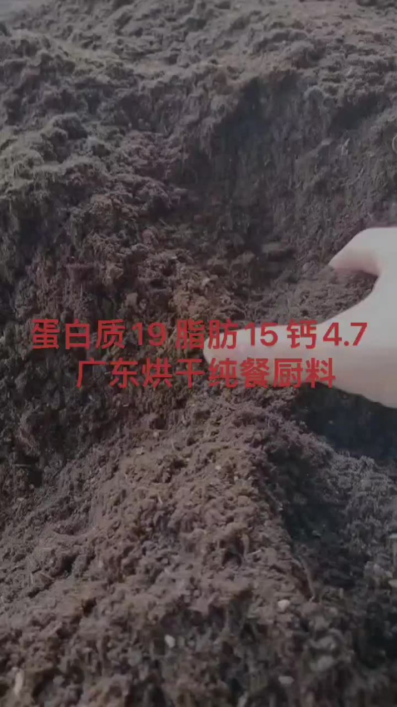 广东烘干餐厨粉