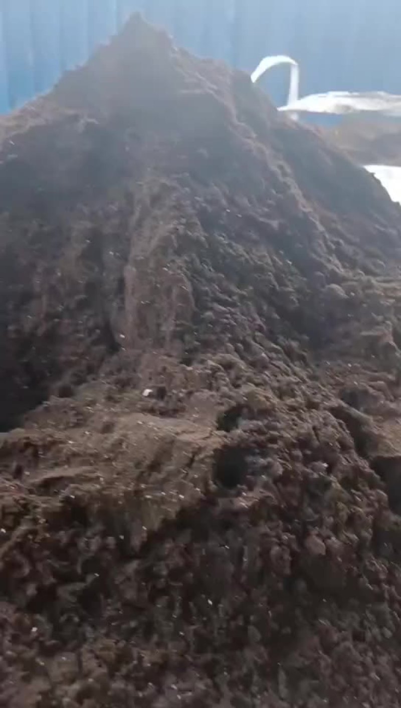 广东烘干餐厨粉