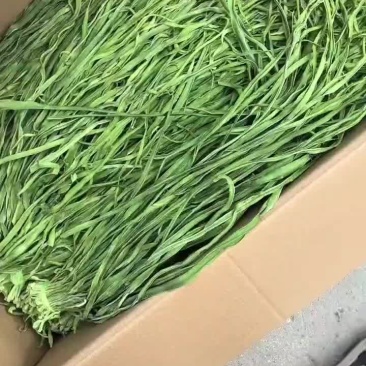 贡菜