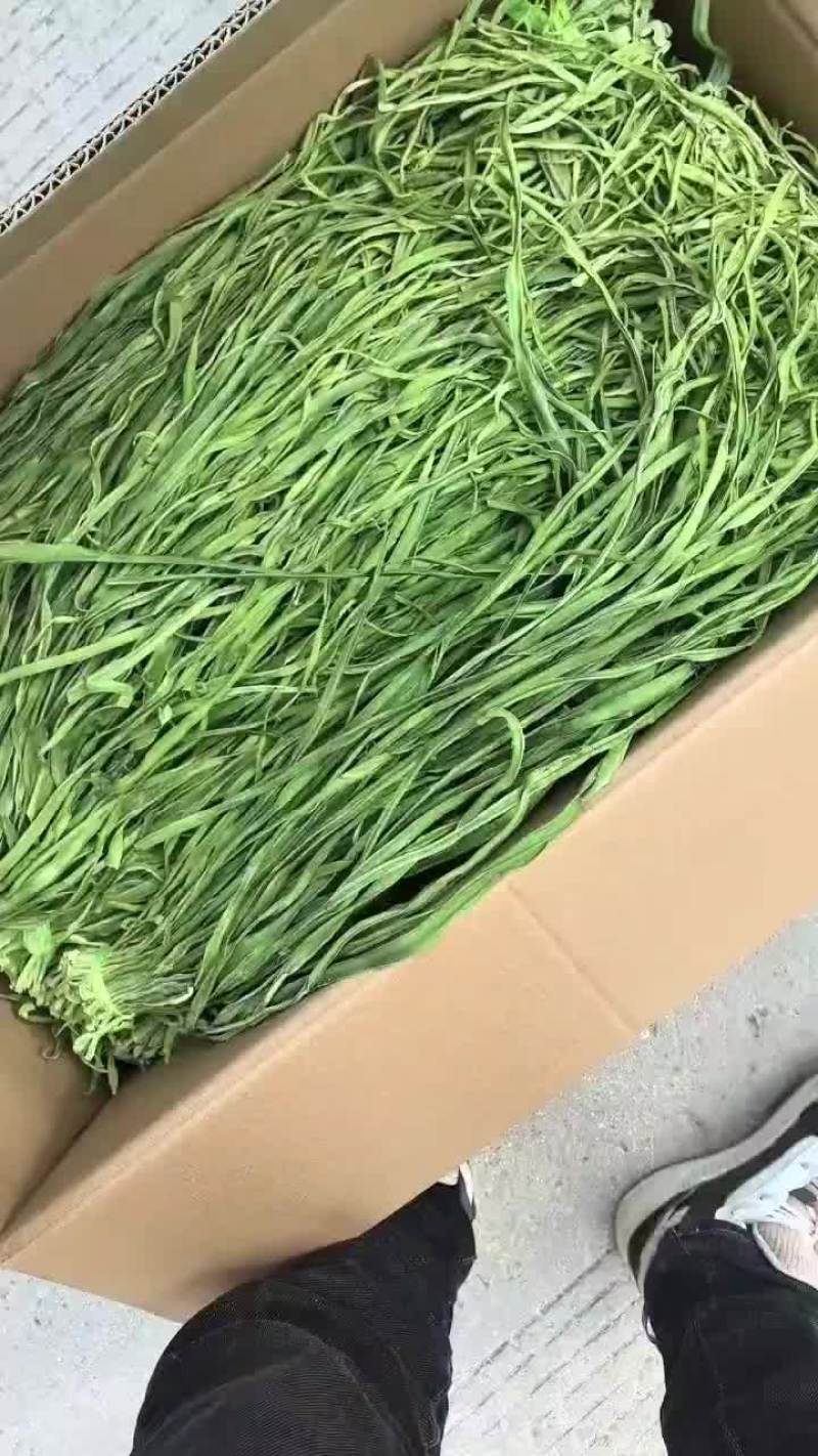 贡菜