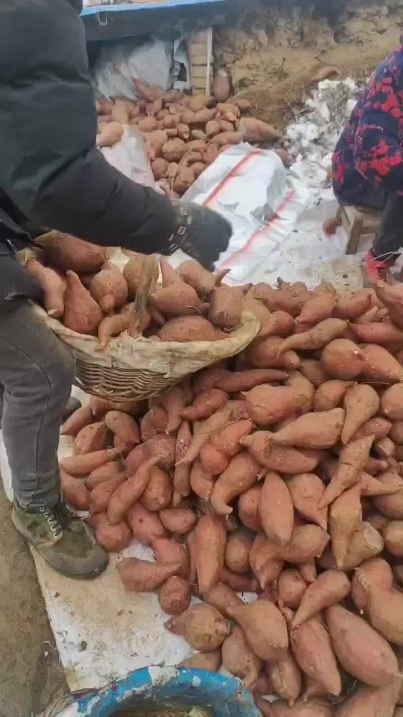 西瓜红