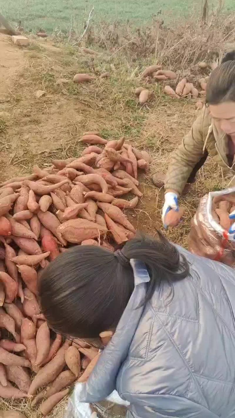 西瓜红