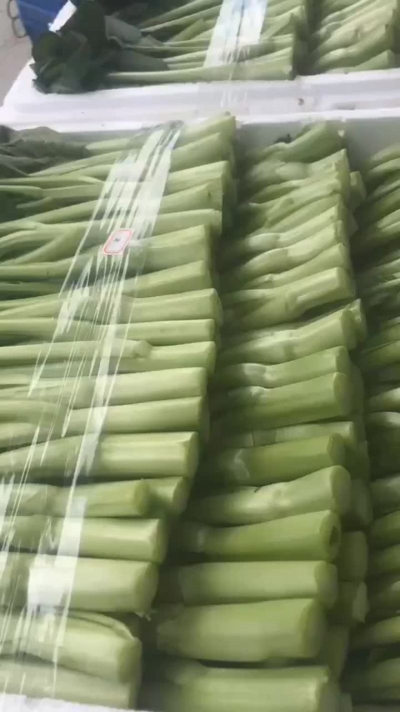 精品菜心