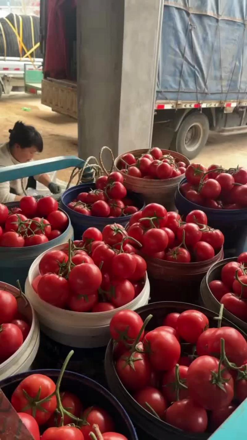 邯郸本地蔬菜