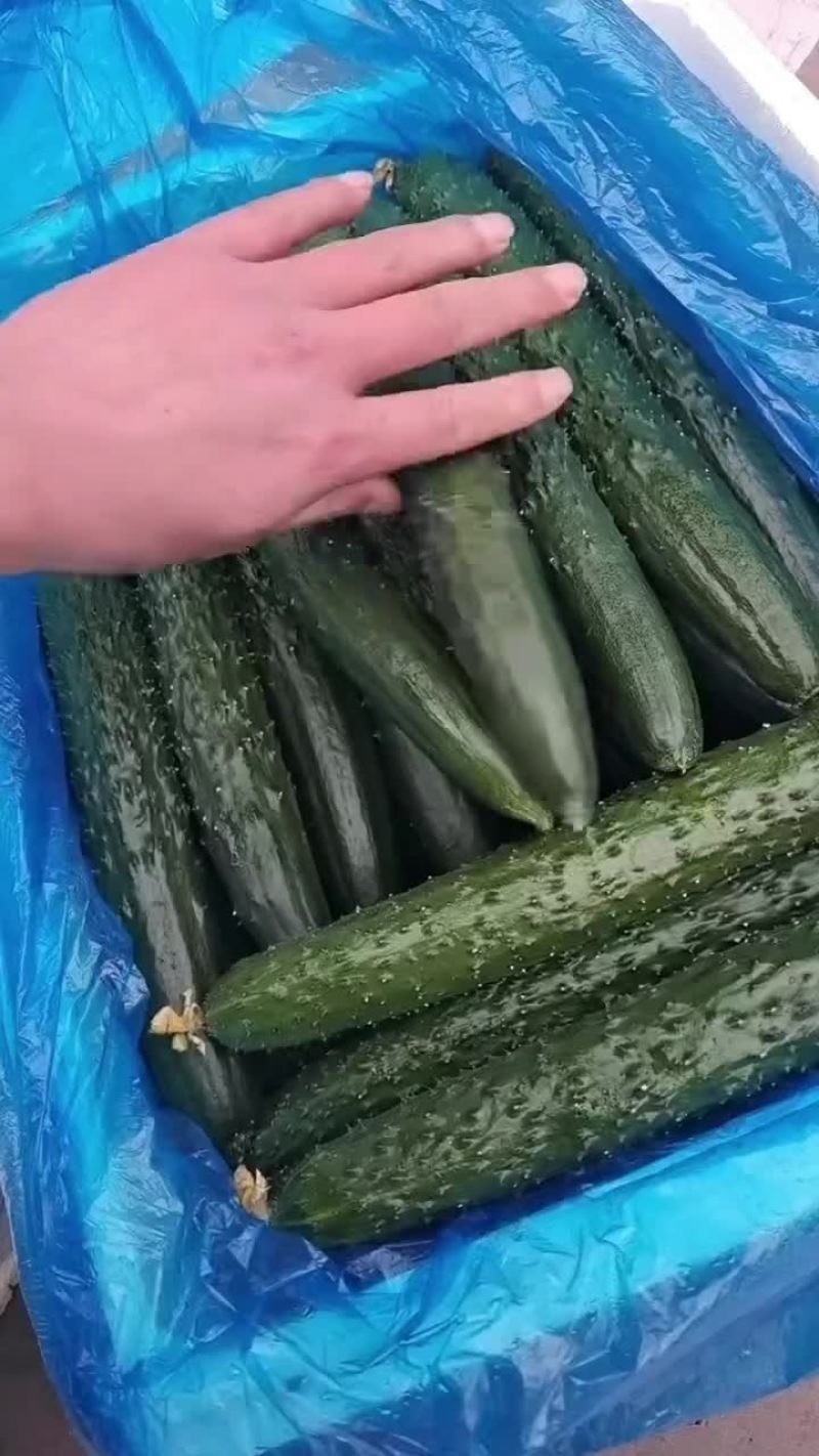 精品黄瓜