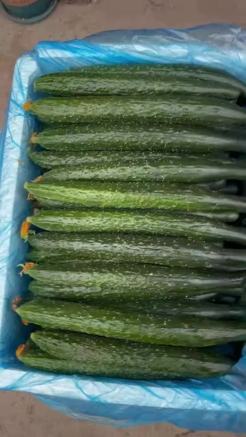 精品黄瓜