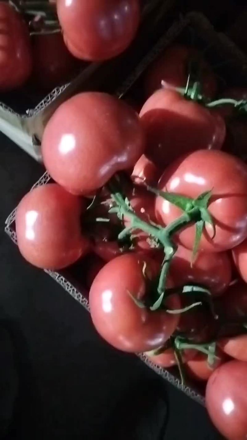 硬粉，西红柿