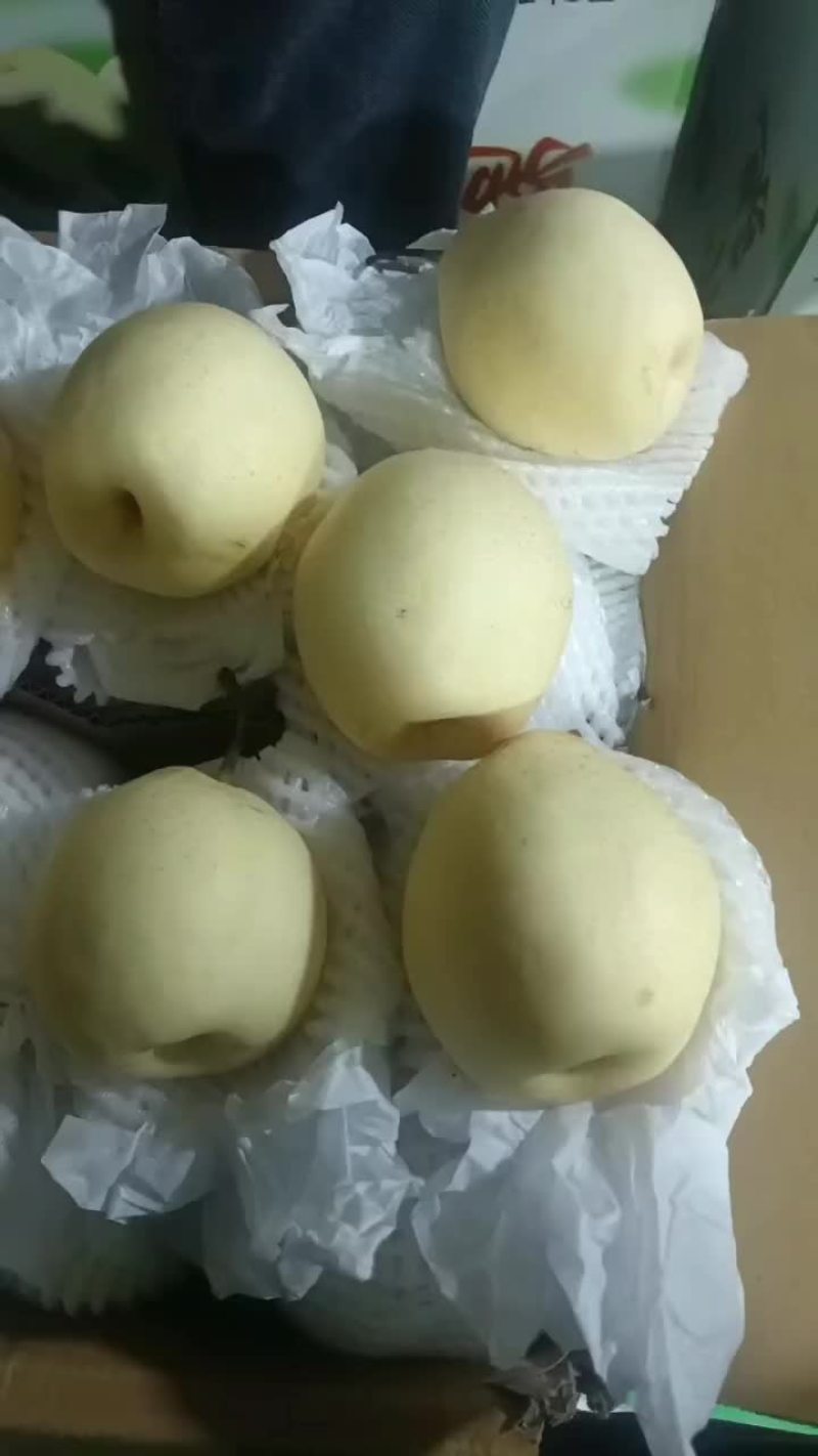 大量供应鸭梨，全国各地都可以发货，常年供应，产地代办