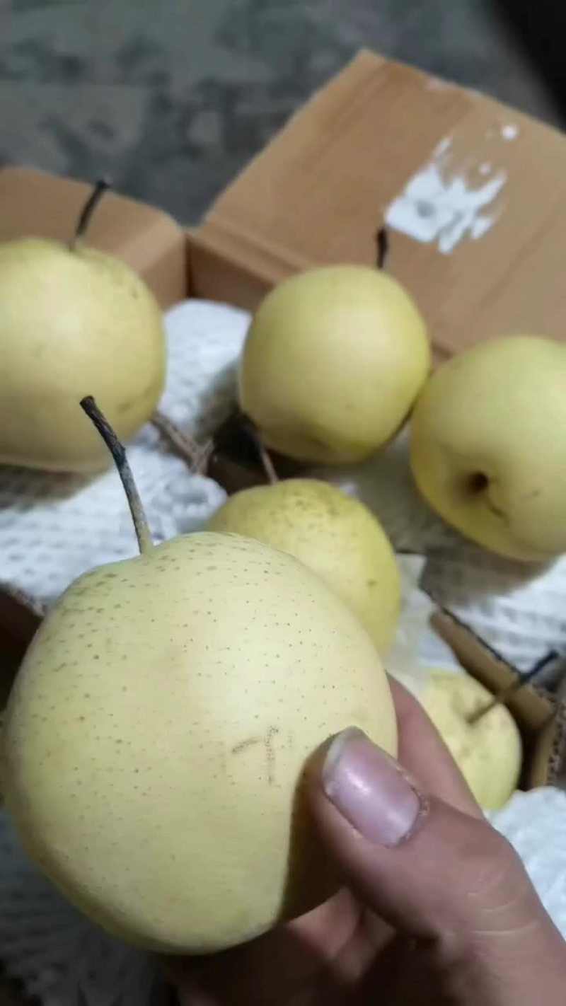 雪花梨