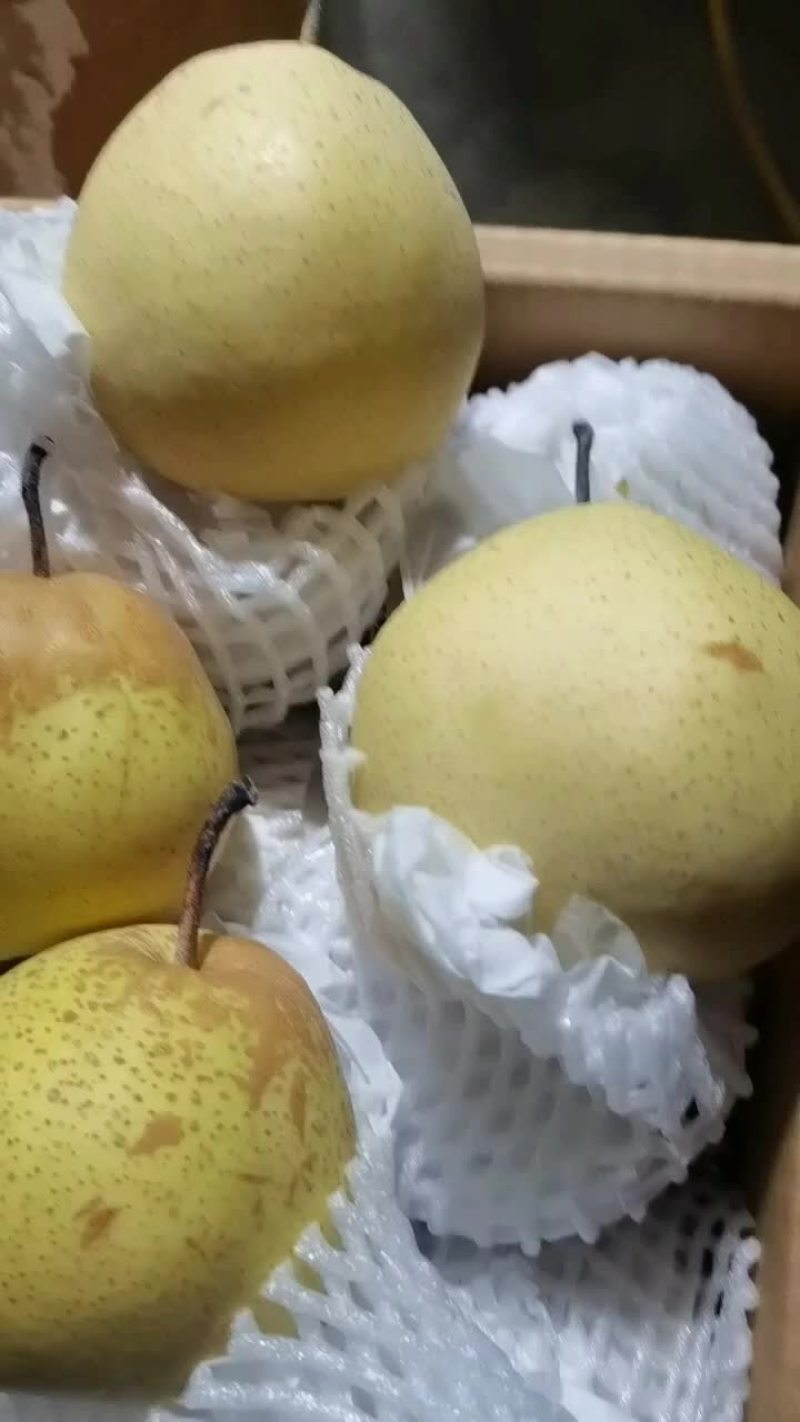 雪花梨