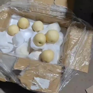 过手皇冠梨