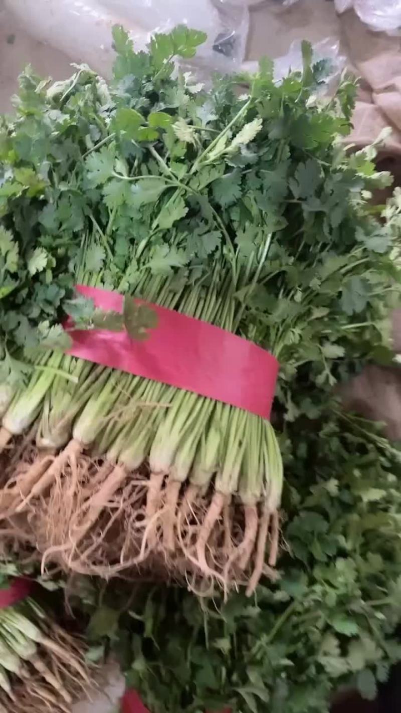电商香菜