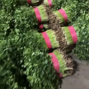 质量没问题