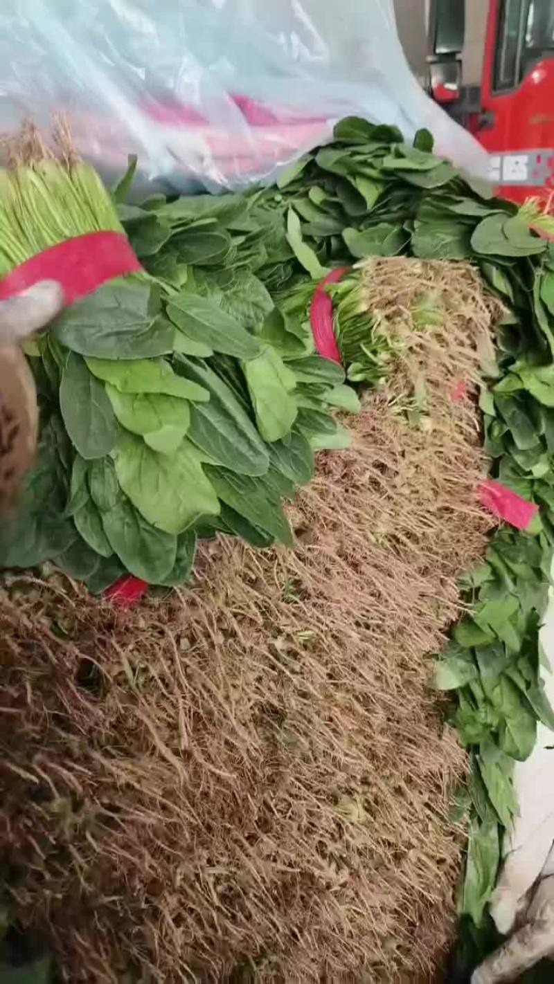 邯郸顾小营