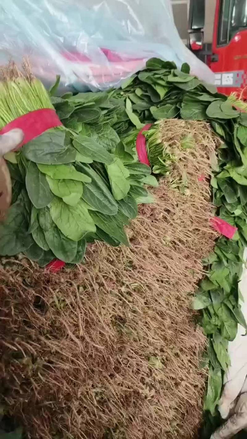 邯郸顾小营