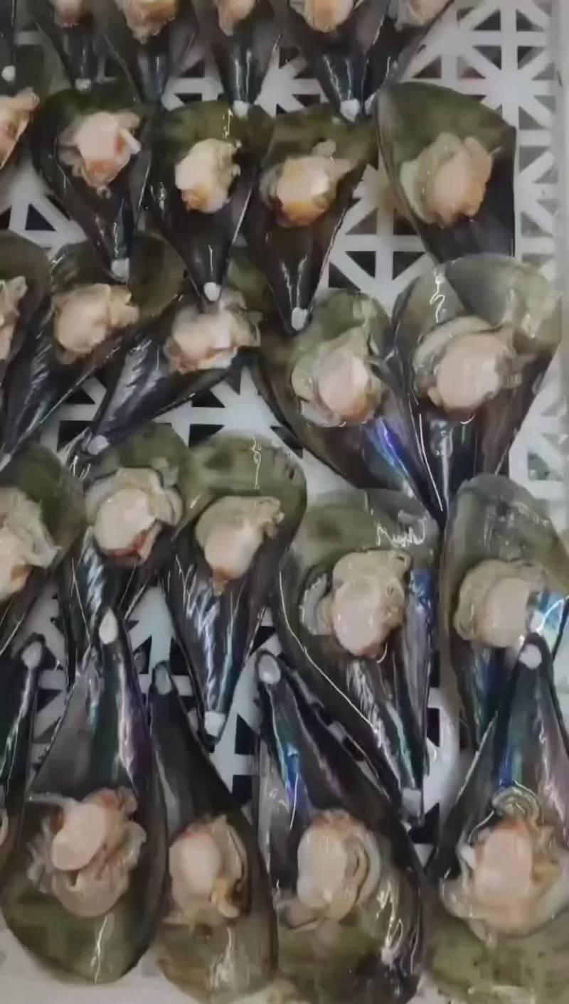 半壳