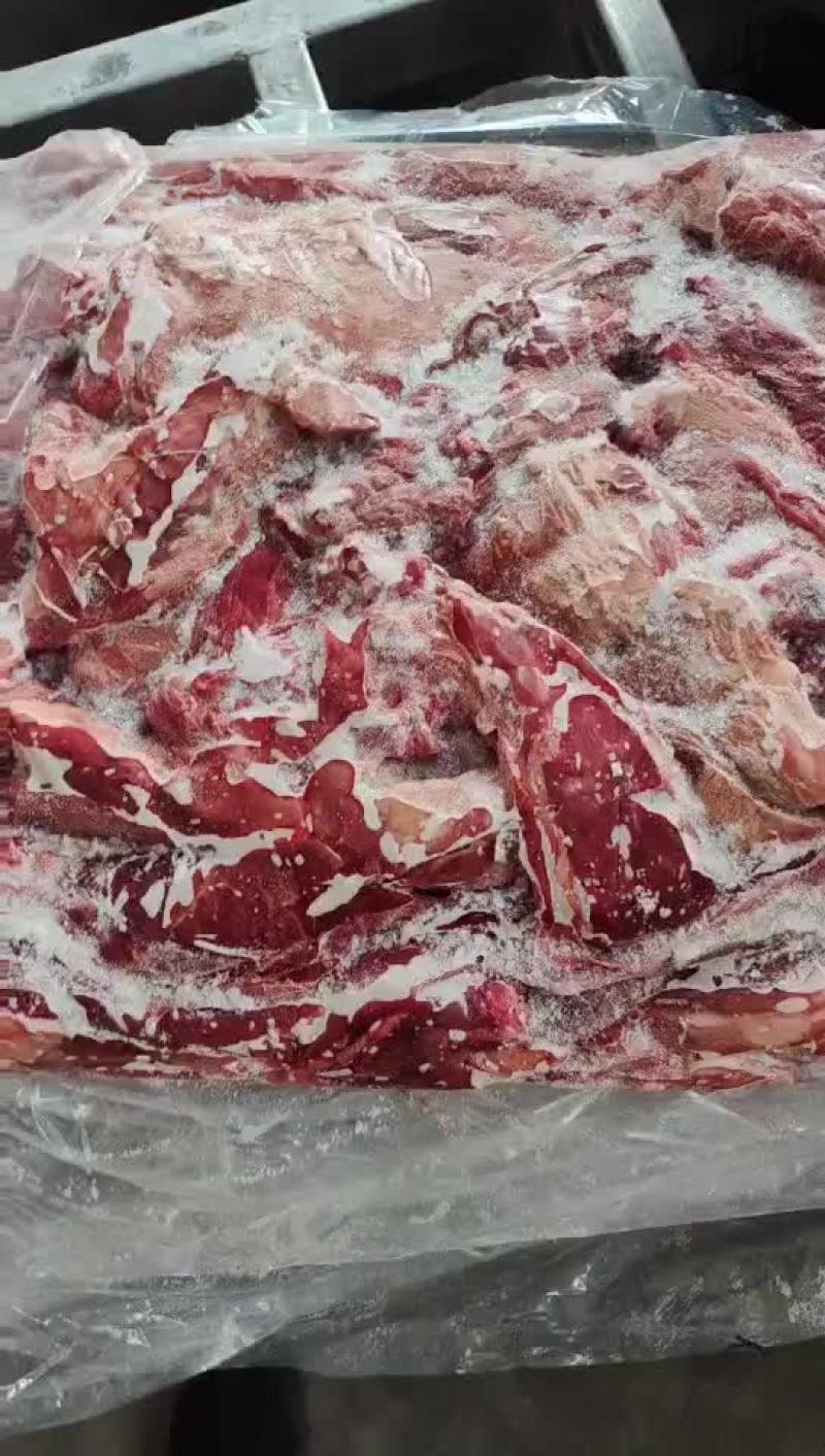 鲜冻羊肉，实拍视频