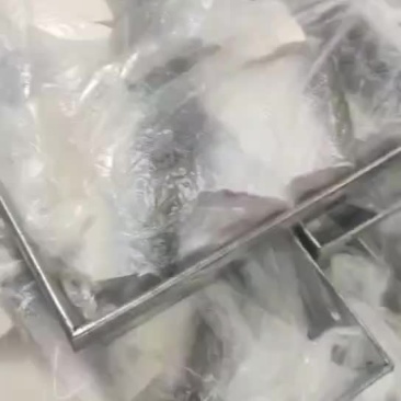 鲢鳙中段