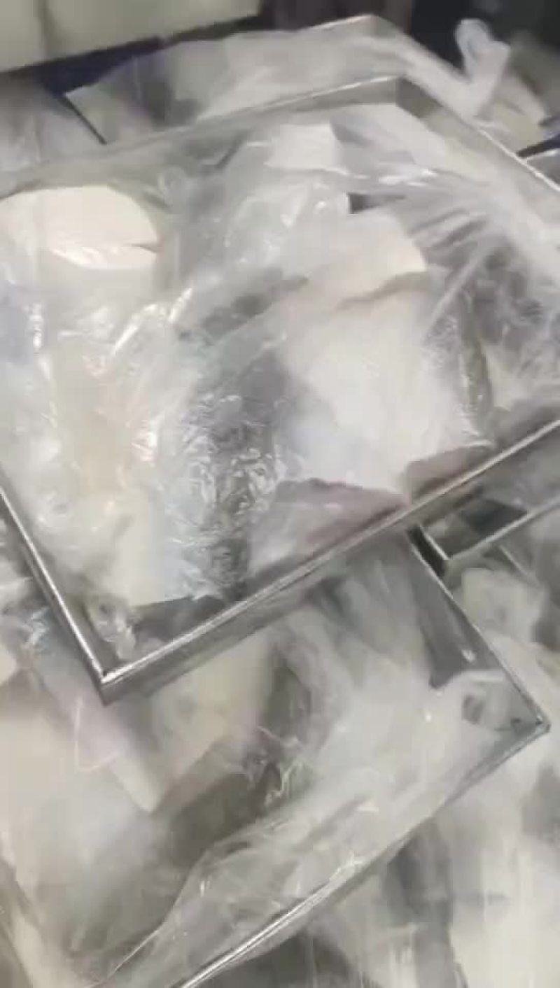 鲢鳙中段