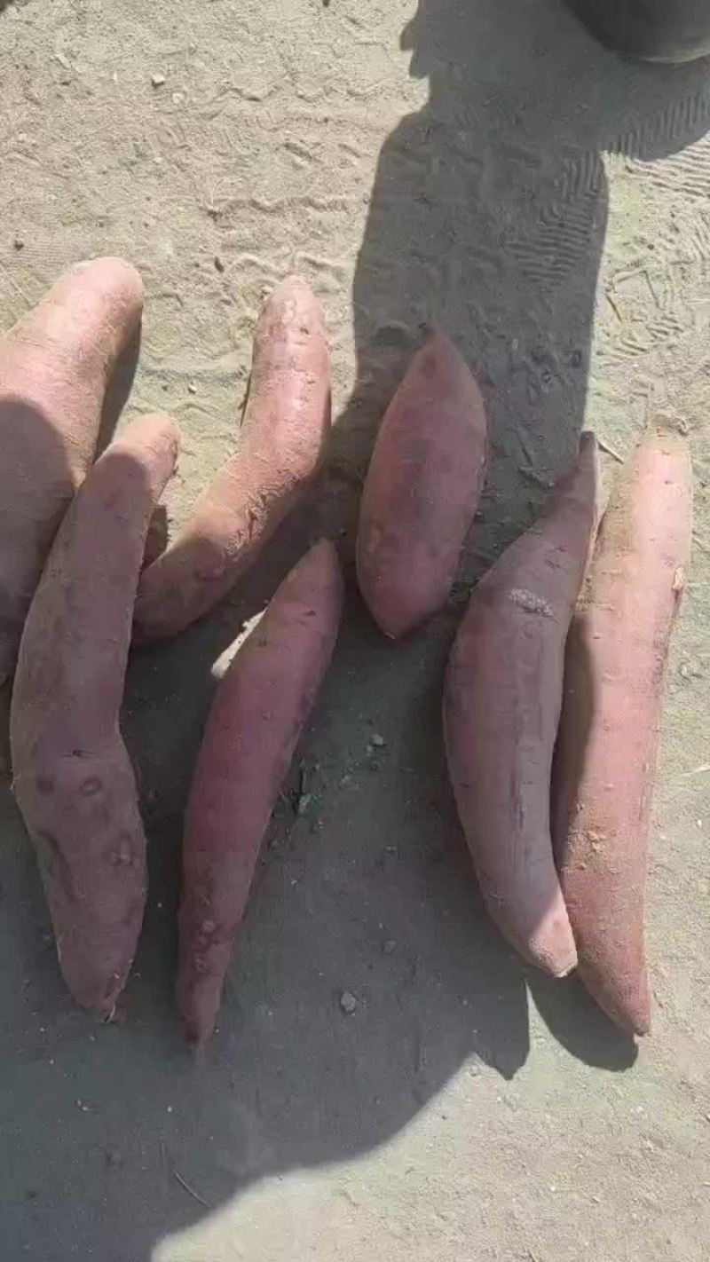 西瓜红