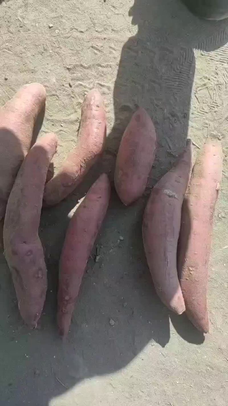 西瓜红