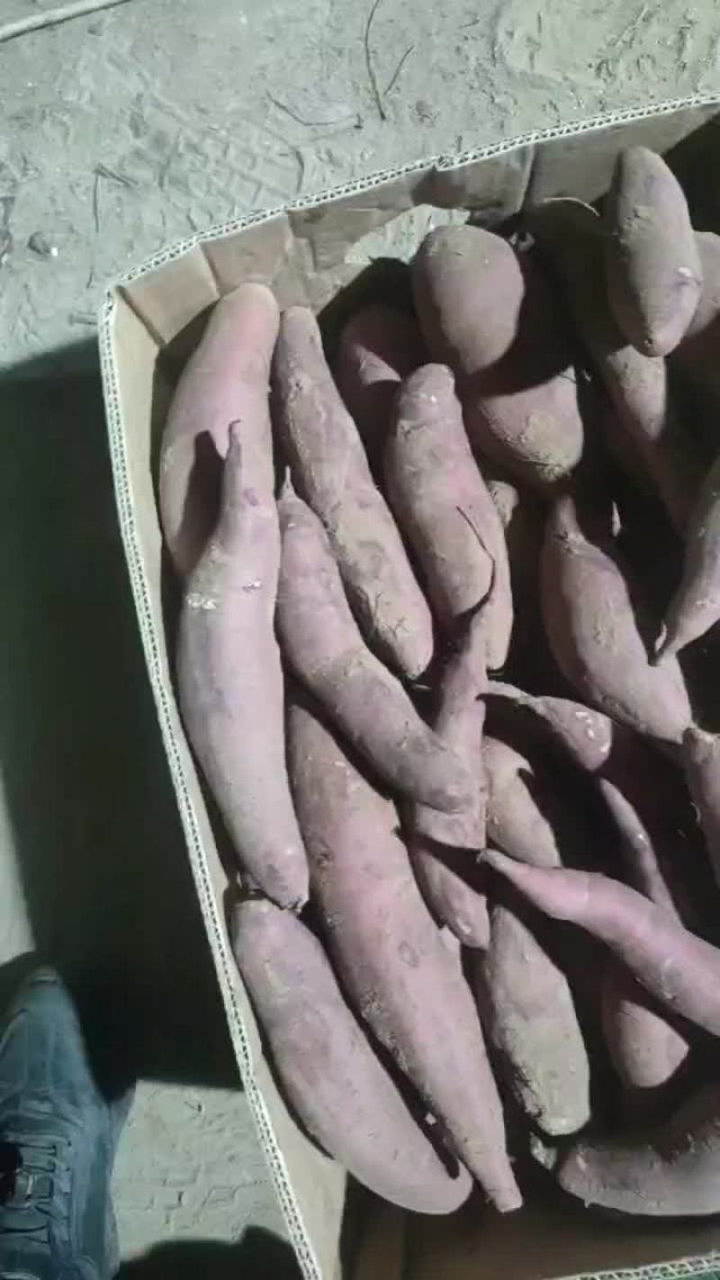 西瓜红