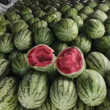 夏天西瓜，新疆的产地