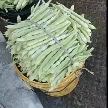 芸豆