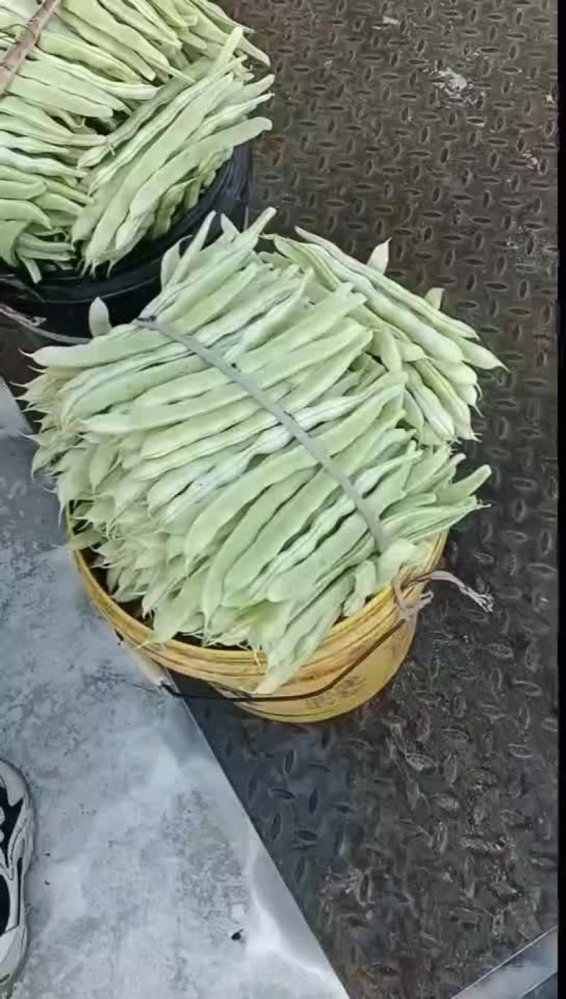 芸豆