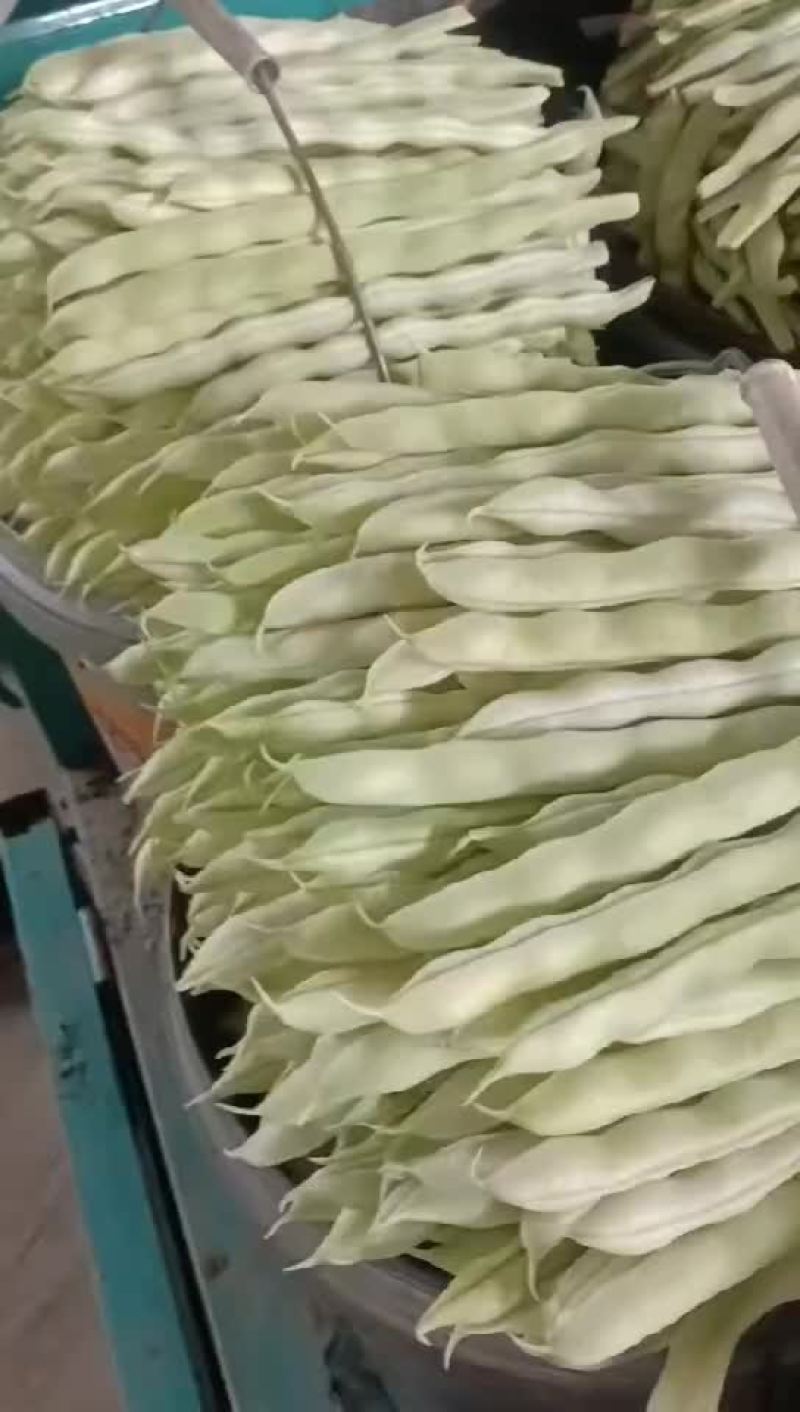 芸豆