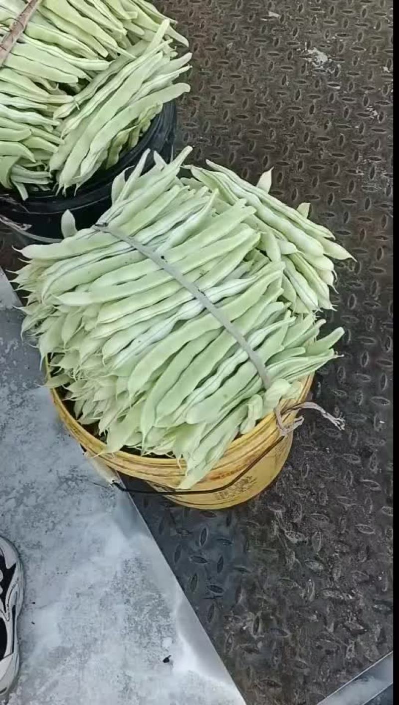 芸豆