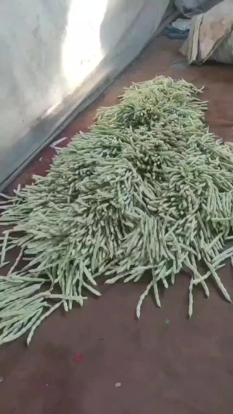 芸豆